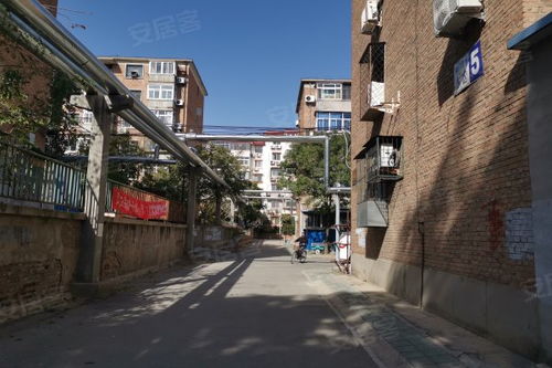 南廠住宅東區(qū)居住體驗全解析 優(yōu)缺點、現(xiàn)狀與周邊中介評價